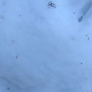 Meet your Posher, Colin